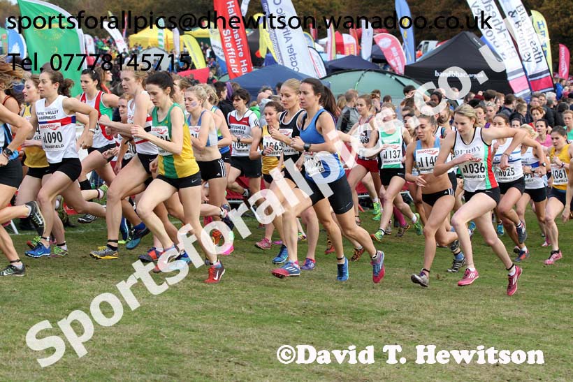 Senior womens National Cross Country Relays. Photo: David T. Hewitson/Sports for All Pics